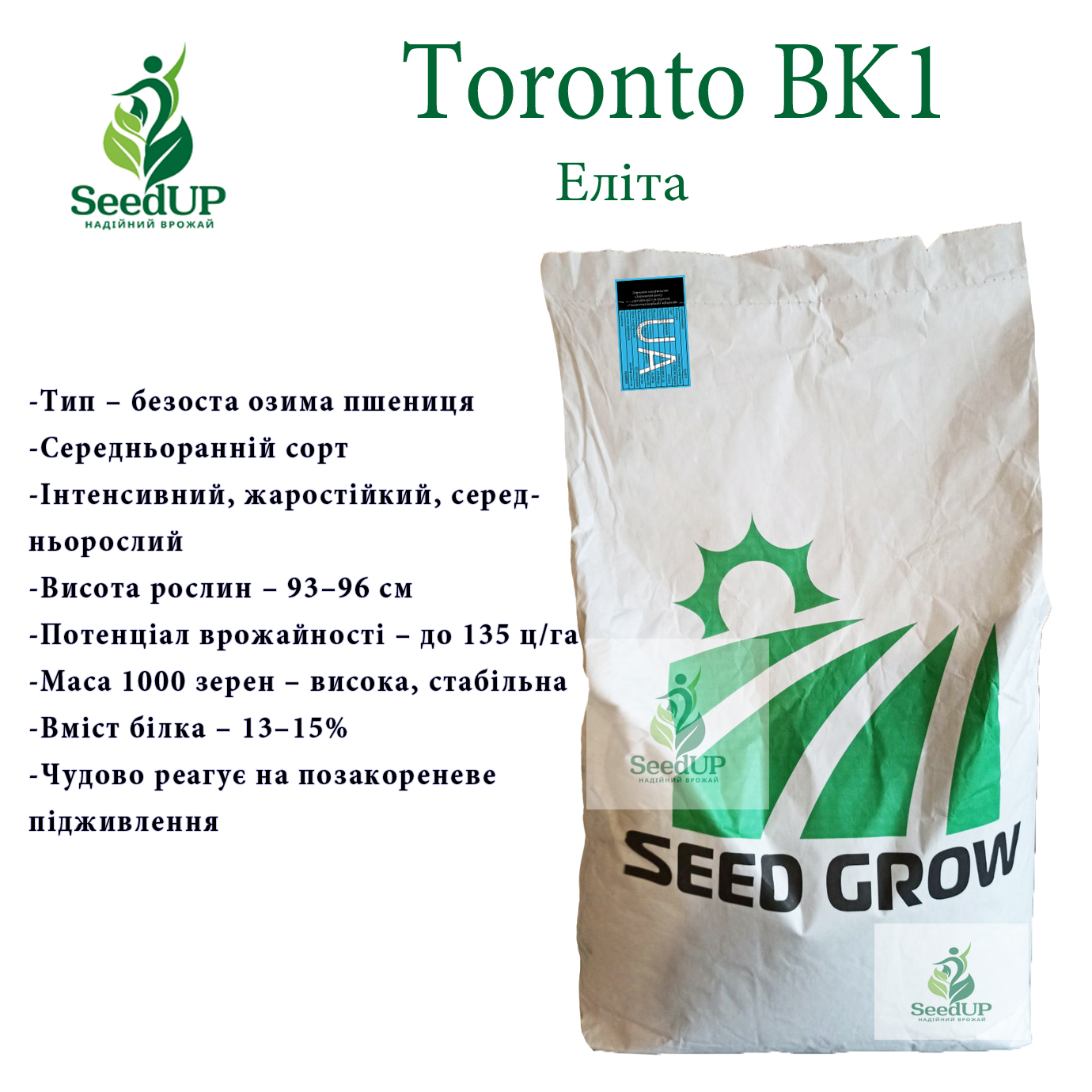 Toronto BK1(Еліта)