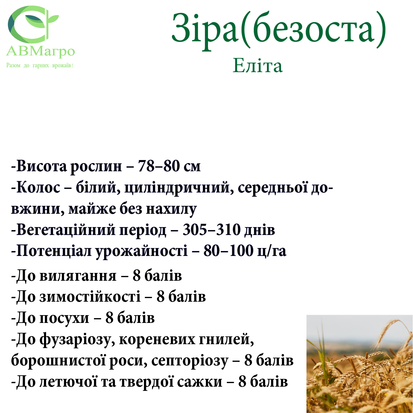 Зіра(Еліта)