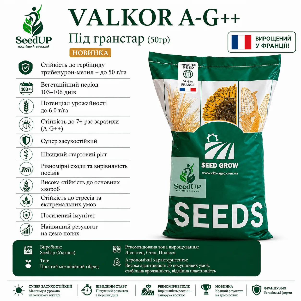 Насіння соняшнику VALKOR A-G++ під Гранстар SeedUP