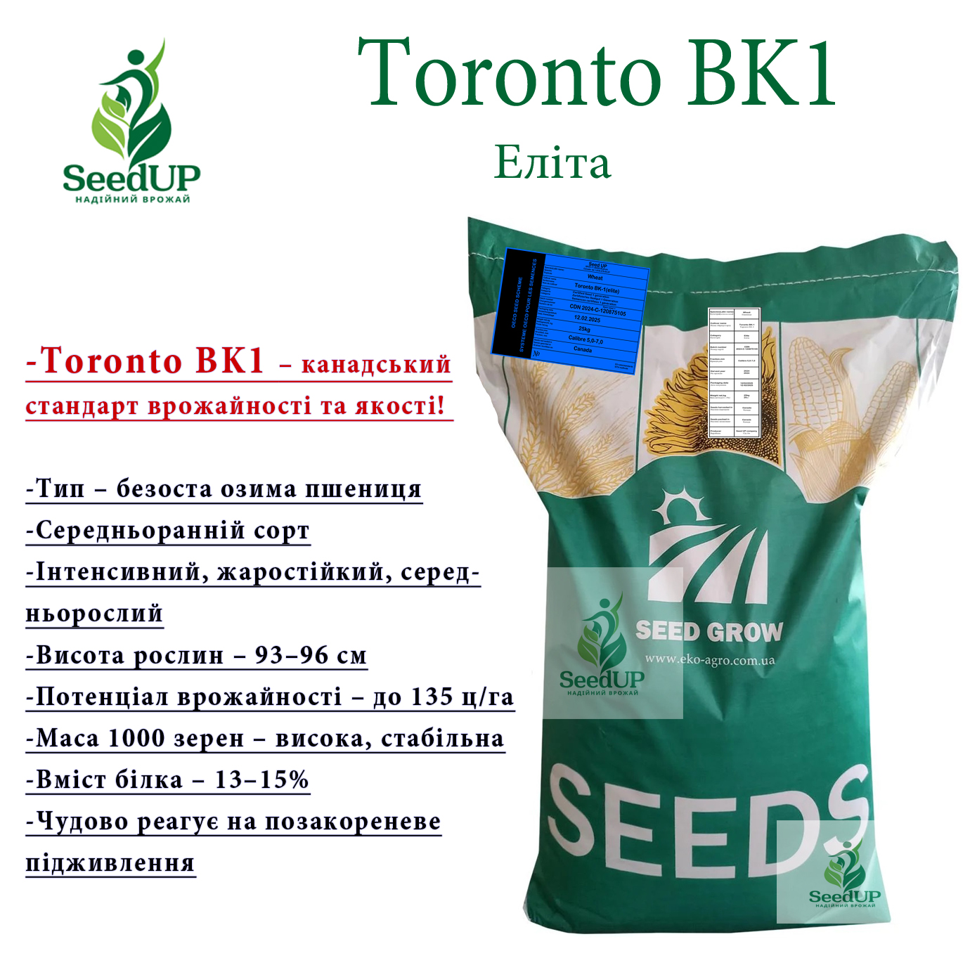 Toronto BK1(Еліта)