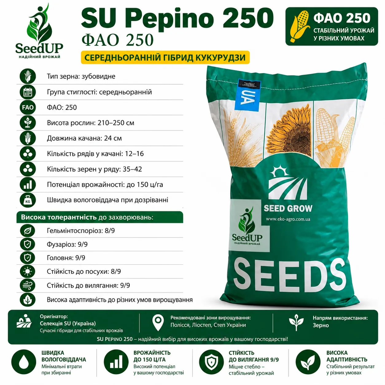 Насіння кукурудзи Пепіно 250 (Pepino 250) ФАО 250 SeedUP