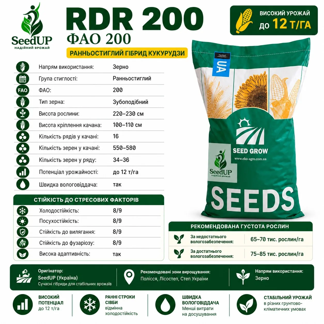 Насіння кукурудзи RDR 200 SeedUp ФАО 200